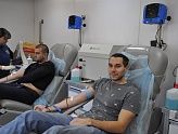 РЯДЫ ДОНОРОВ РАСТУТ